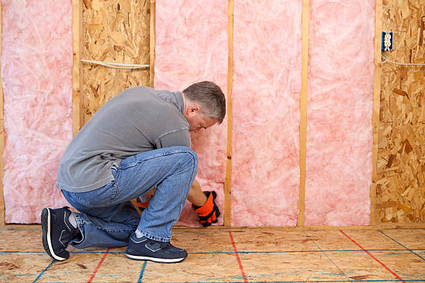Best Crawl Space Insulation  in Candler Mcafee, GA